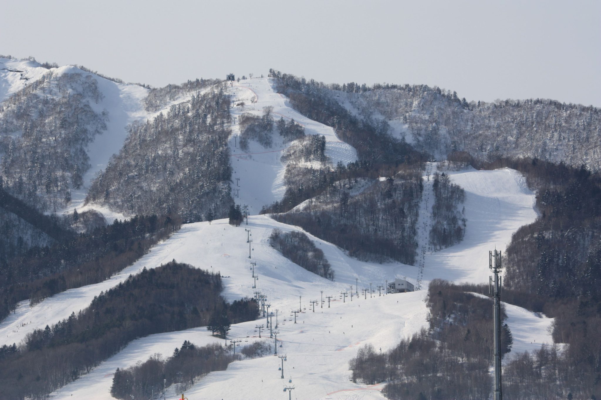 富良野 Furano Ski Resort